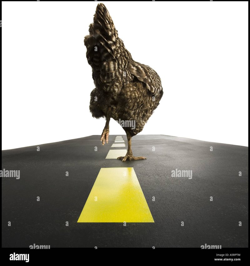 Imagine: Chelneriștii se întorc înapoi: Avânturi în Chicken Road 2 Casino Românesc