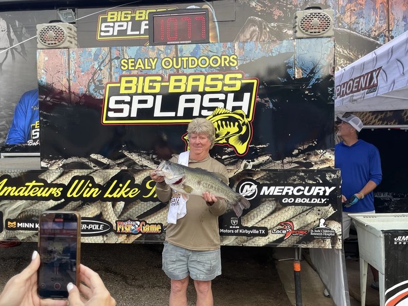 Ein Tauchgang in den Big Bass Splash Slot mit hoher Gewinnchance - overview