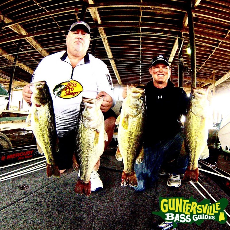 Image: Erleben Sie das große Bassen-Abenteuer mit Big Bass Splash Demo und kostenlos