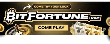 Bitfortune Live Casino Explained Your Guide to the Ultimate Gaming Experience