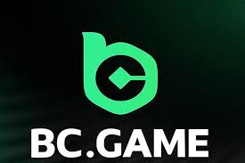 Explore the Exciting World of BC HashGame Crypto Casino 2135299097